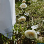 a photo of the roses that lined the aisle. Small central park wedding.