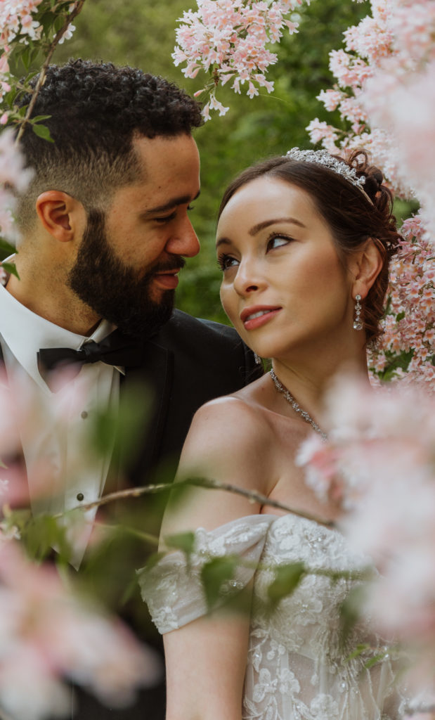 couple poses in pink flower bush. Locust Grove Estate, Poughkeepsie, New York.