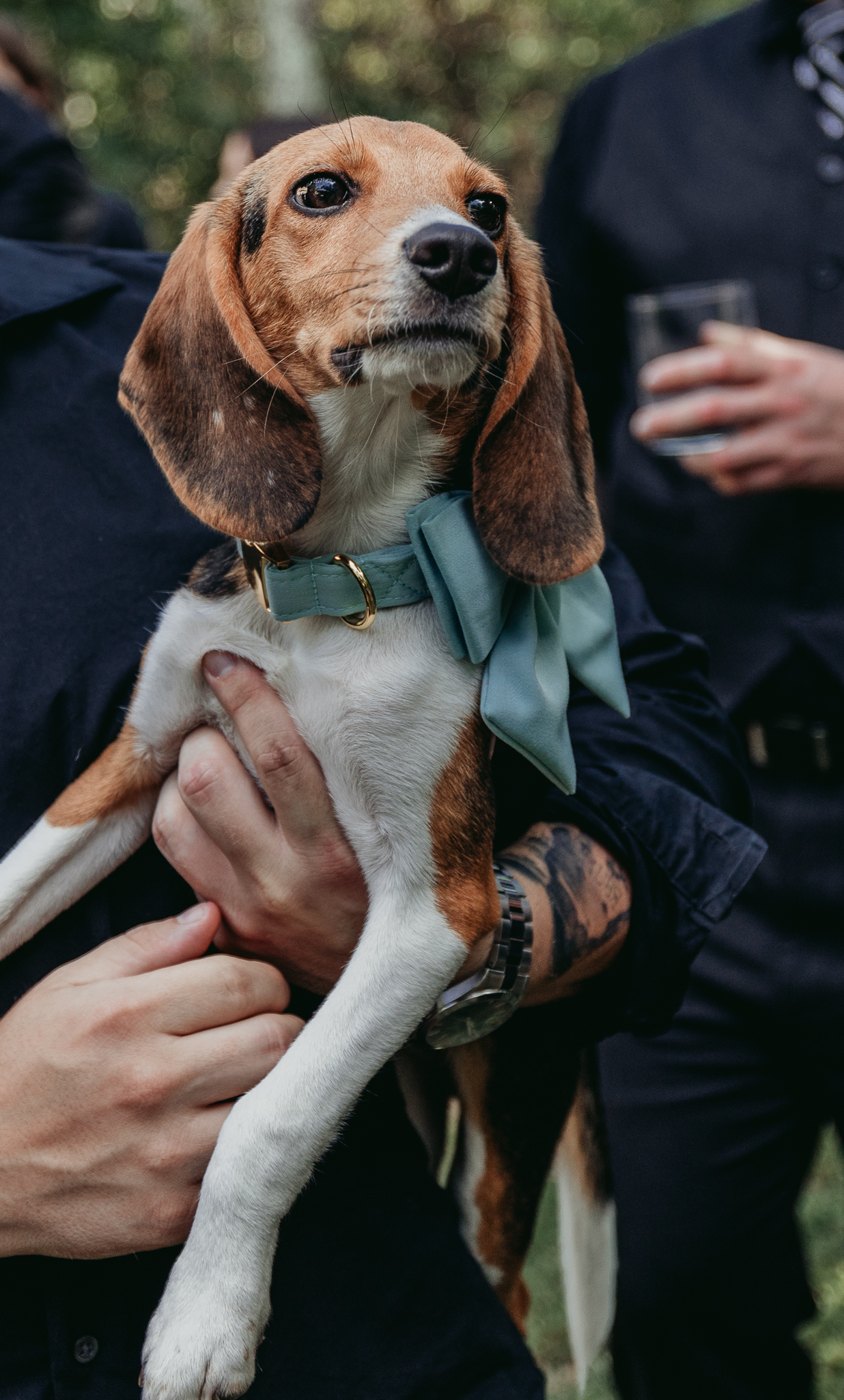 puppy back yard wedding new paltz new york crys torres photography